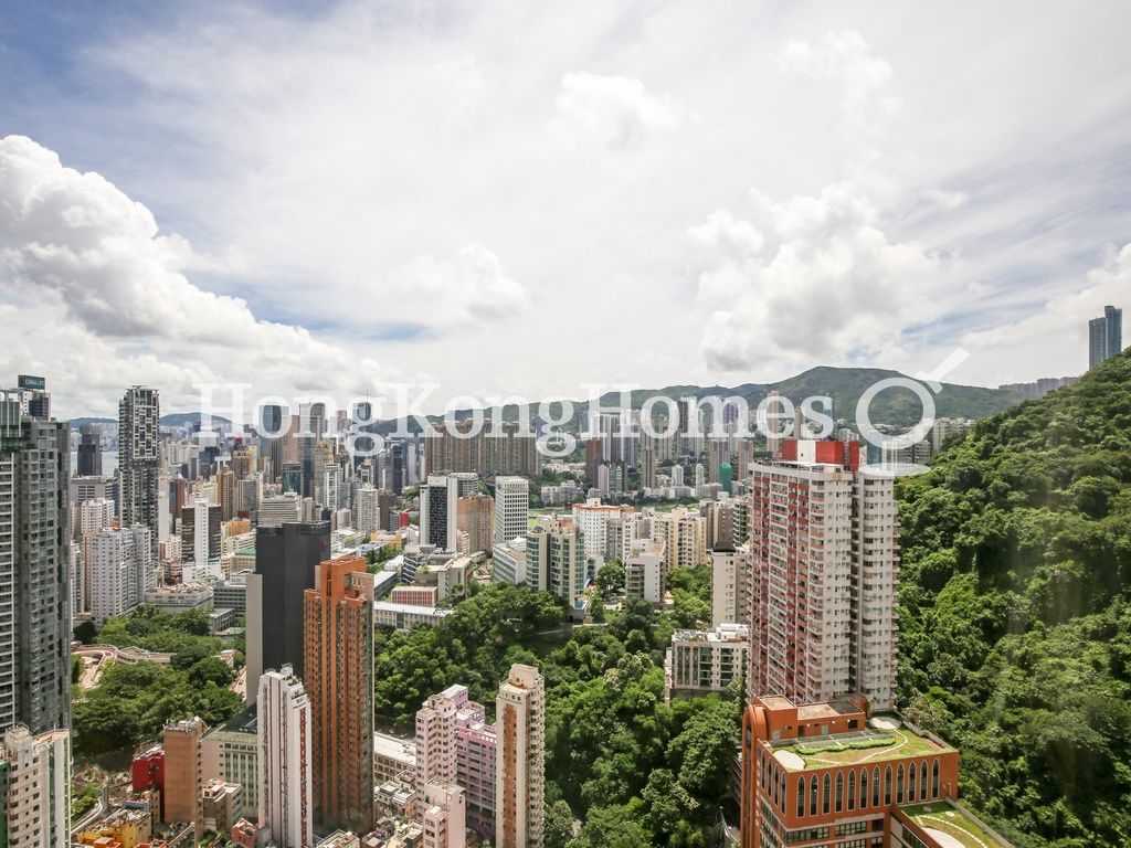 Bamboo Grove - Block 78