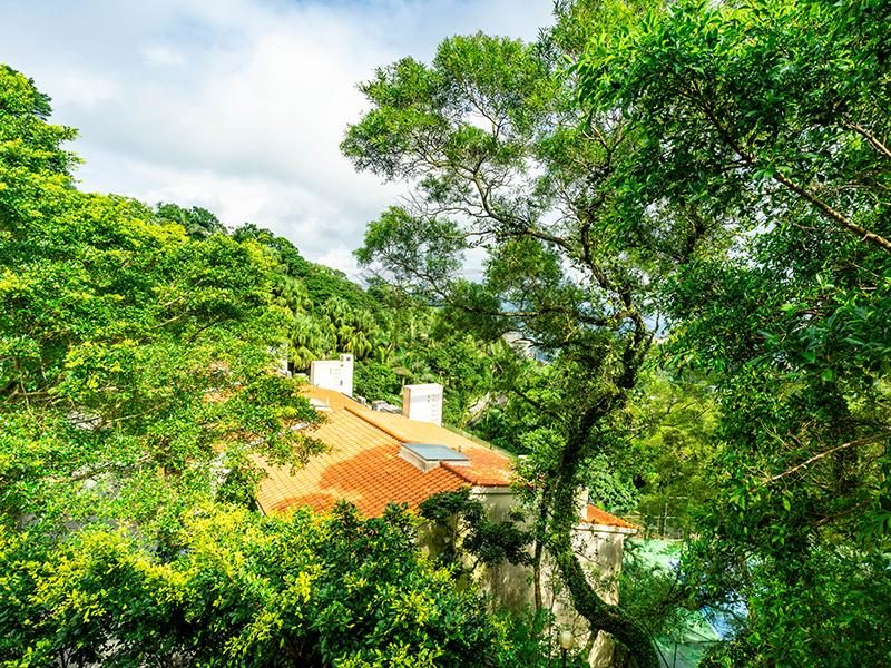 photo 2 — Strawberry Hill, The Peak