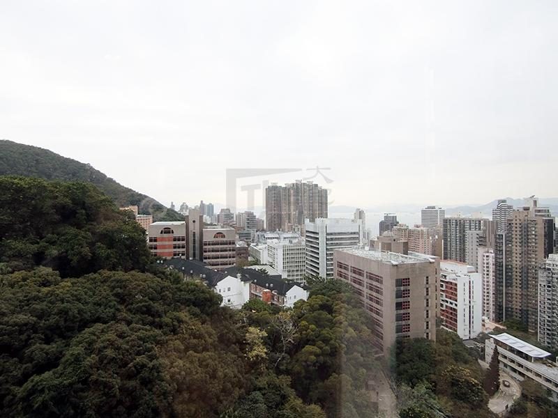 University Heights