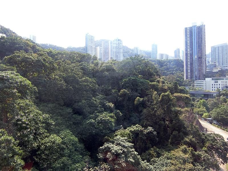 photo 1 — Starcrest, Wan Chai
