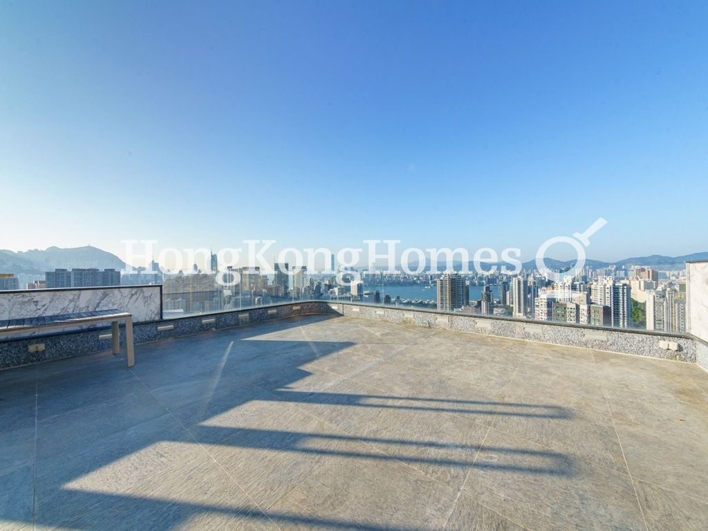 Private Roof Terrace — 園，大坑