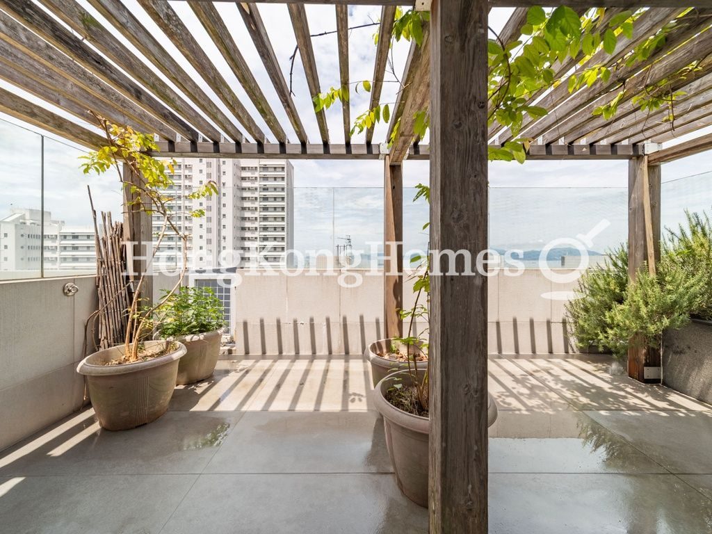 Roof Terrace — 碧荔道 47-49 號，薄扶林