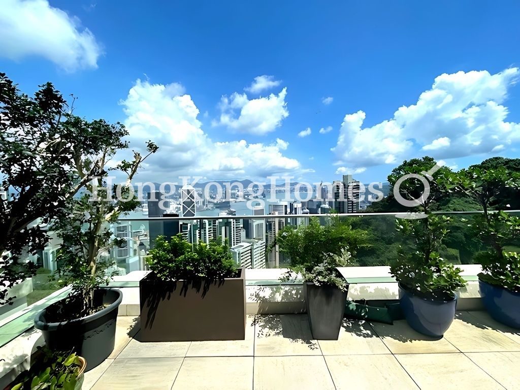 Private Terrace — 白加道28號，山頂