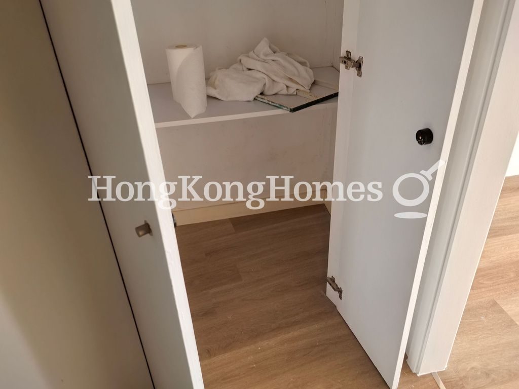 Store Room In Foyer — 碧荔臺，薄扶林