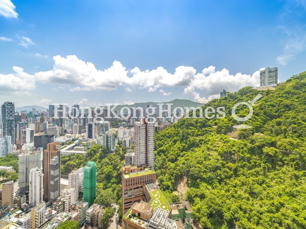 Bamboo Grove - Block 74