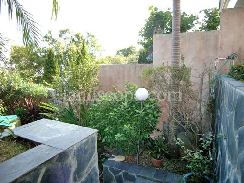 photo 5 — Stanley Knoll, Stanley
