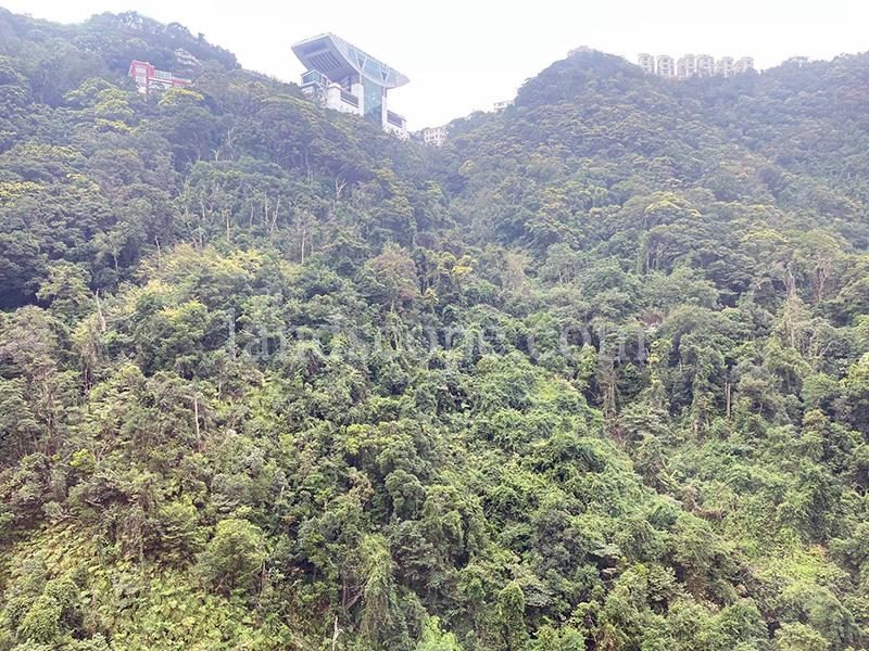 相片 3 — 地利根德里10號 TAVISTOCK(T3座)3房住宅單位，中半山
