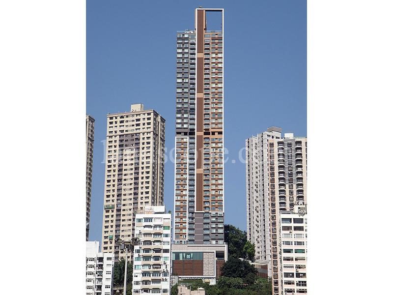 photo 4 — Broadwood Twelve, Happy Valley