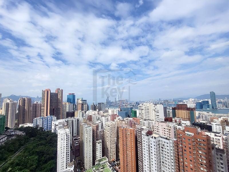 photo 3 — Lime Habitat, Hong Kong