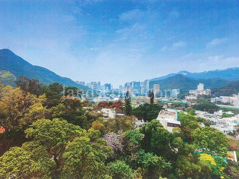photo 3 — 22A-C Shouson Hill Road, Shouson Hill
