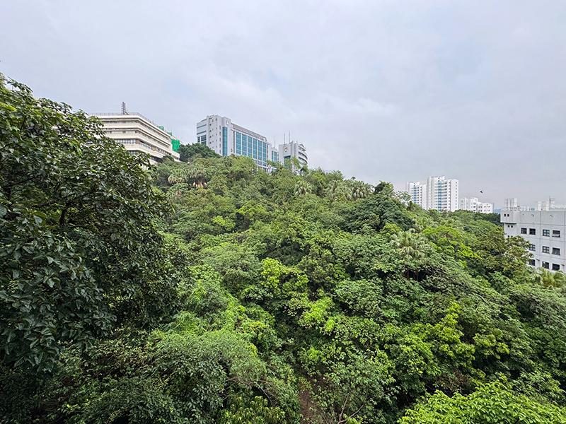 photo 2 — Regent Palisades, Pokfulam