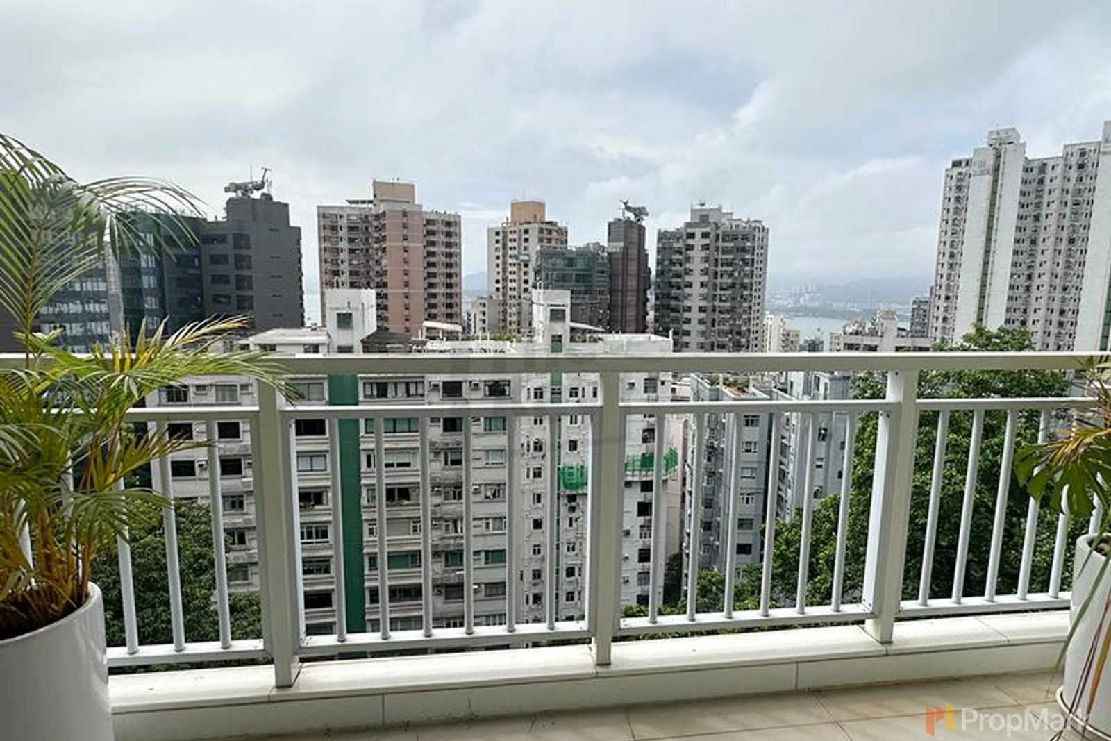 年豐園