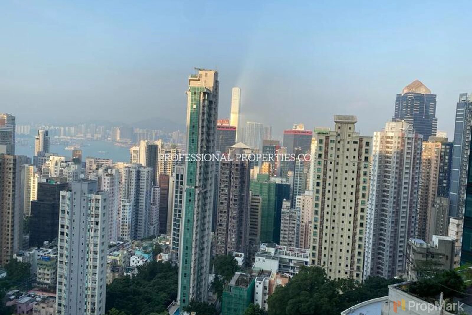 相片 8 — 香港花園，西半山