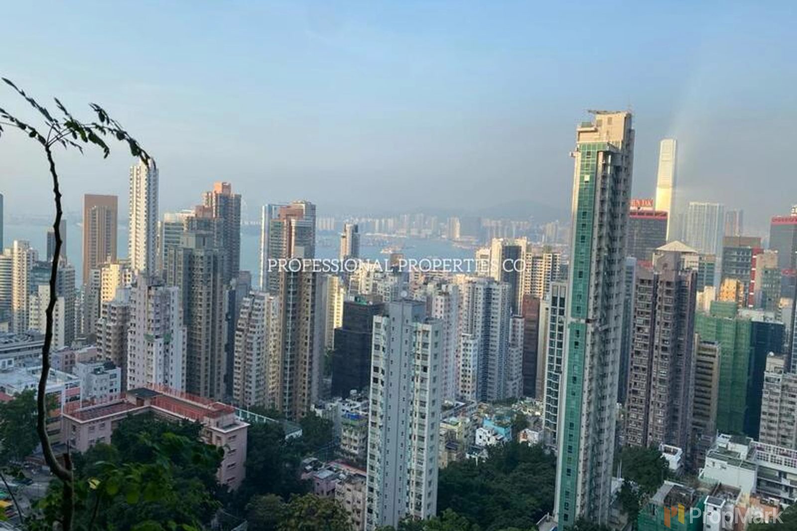 相片 10 — 香港花園，西半山