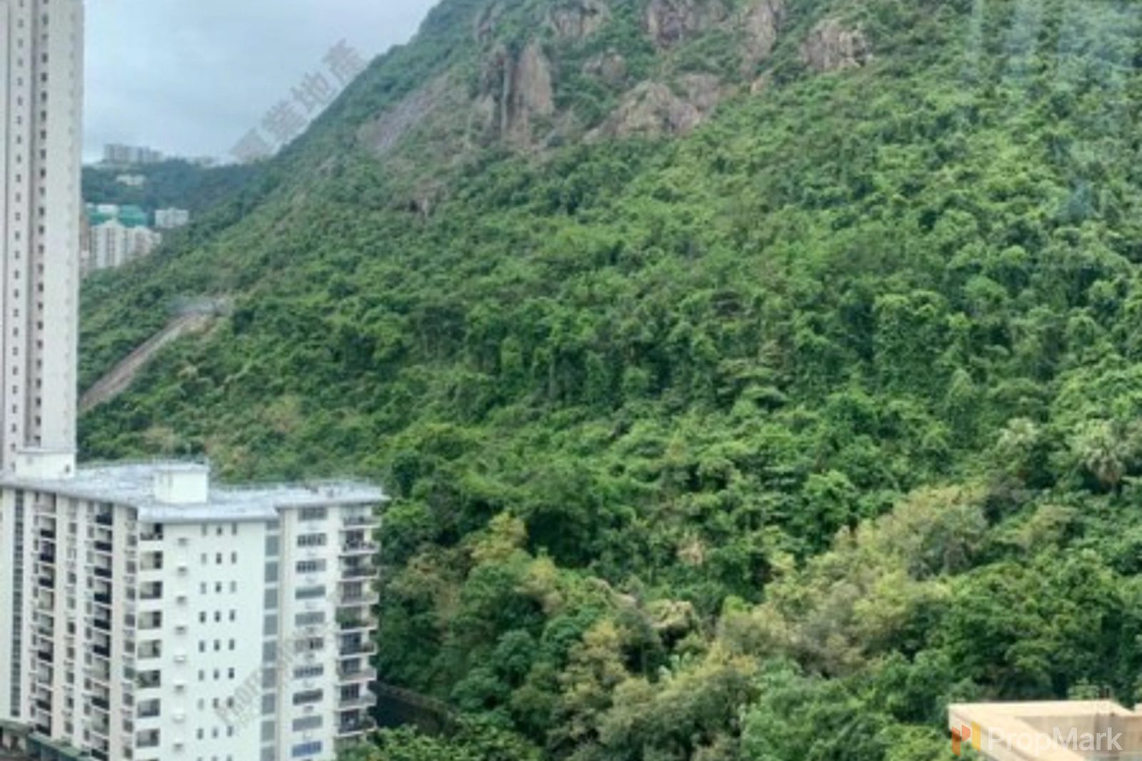 相片 4 — 富景花園，西半山