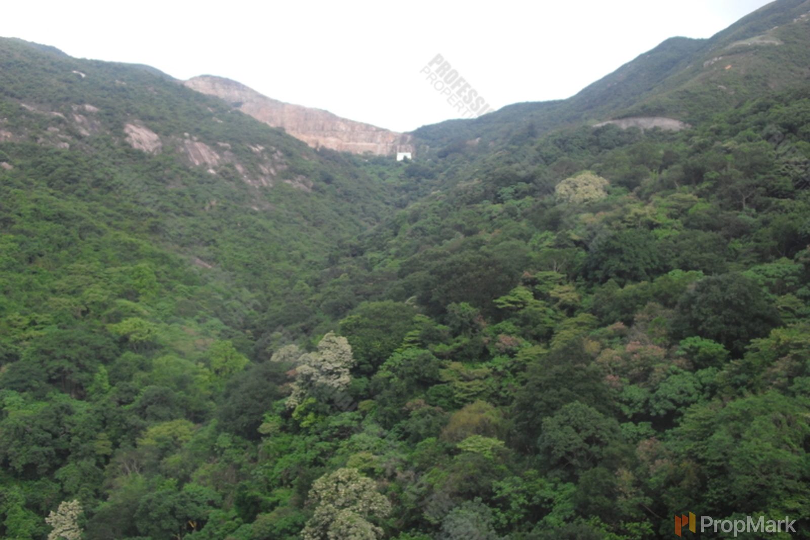 相片 13 — 龍華花園，東半山