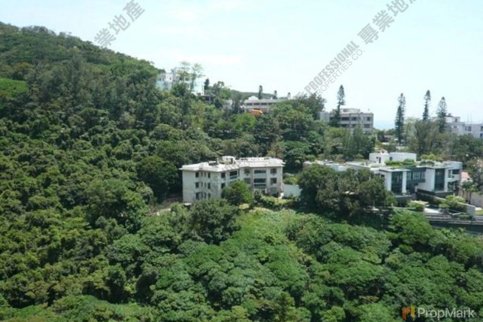 photo 10 — Grand Garden, Southside
