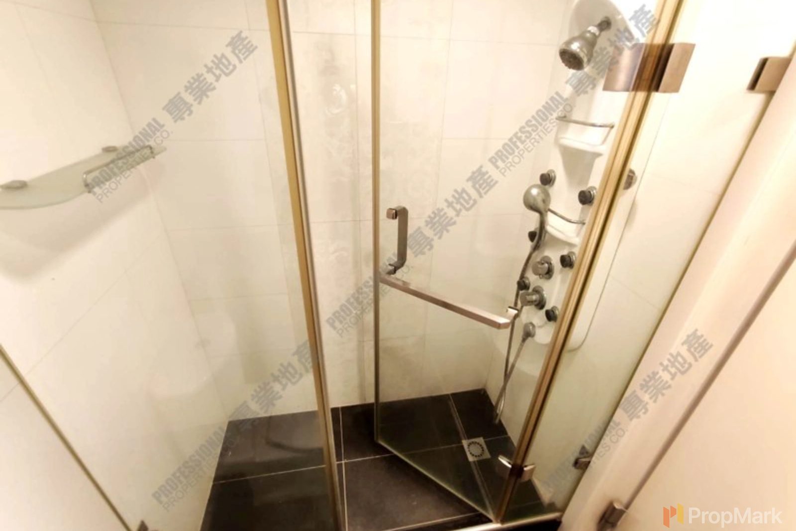 相片 21 — 帝華臺，西半山