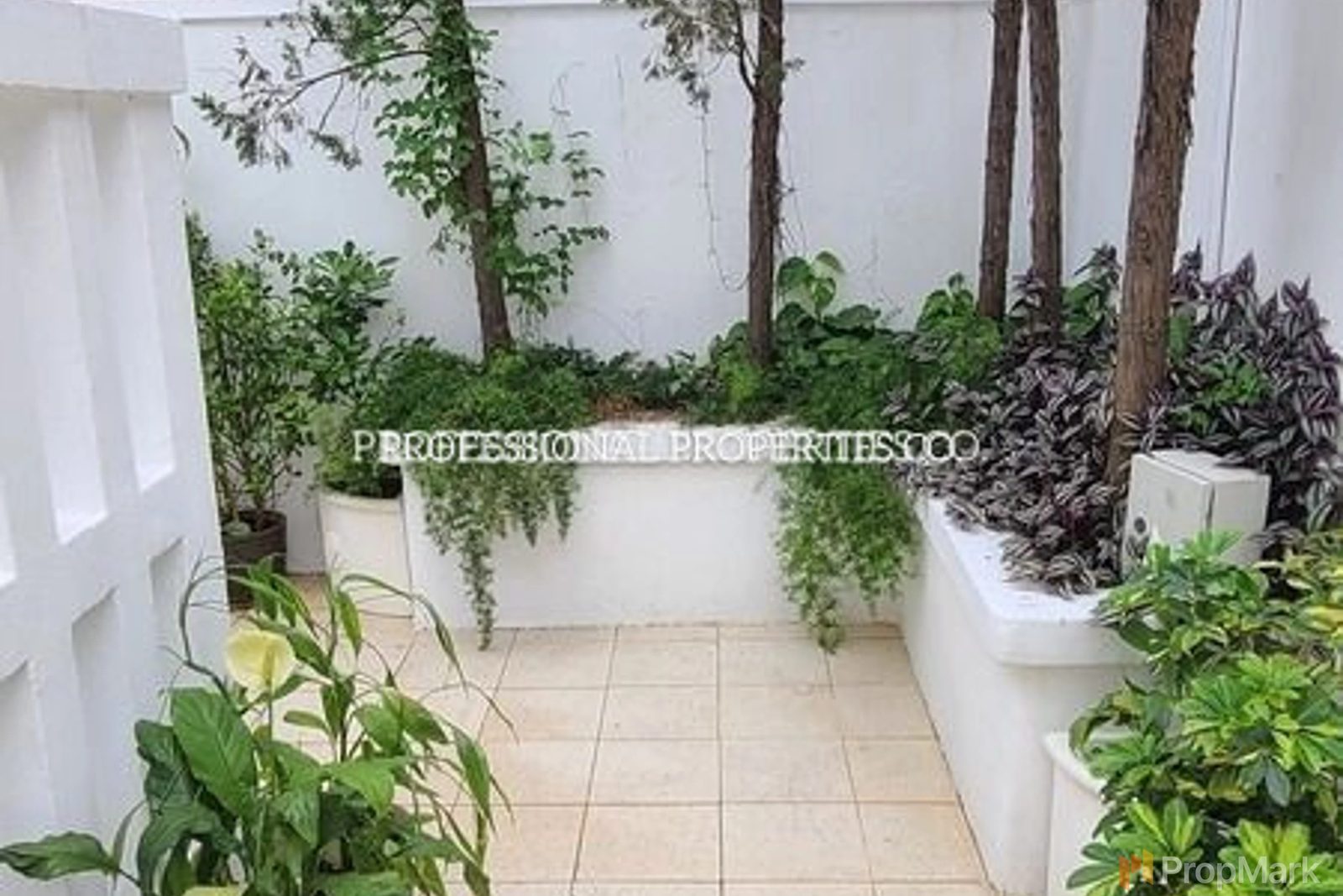 photo 27 — Coral Villas, Southside