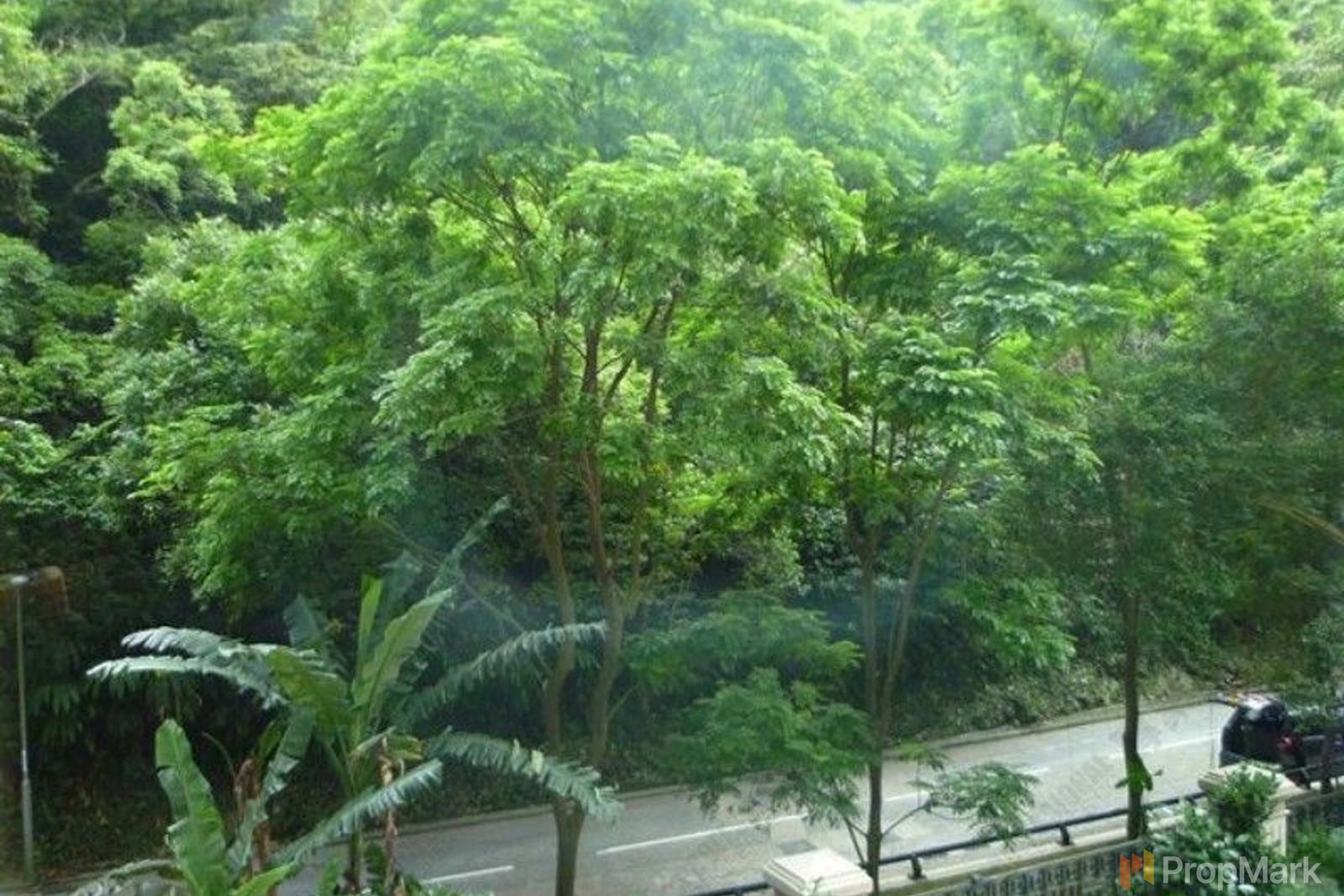 相片 3 — 騰皇居，中半山
