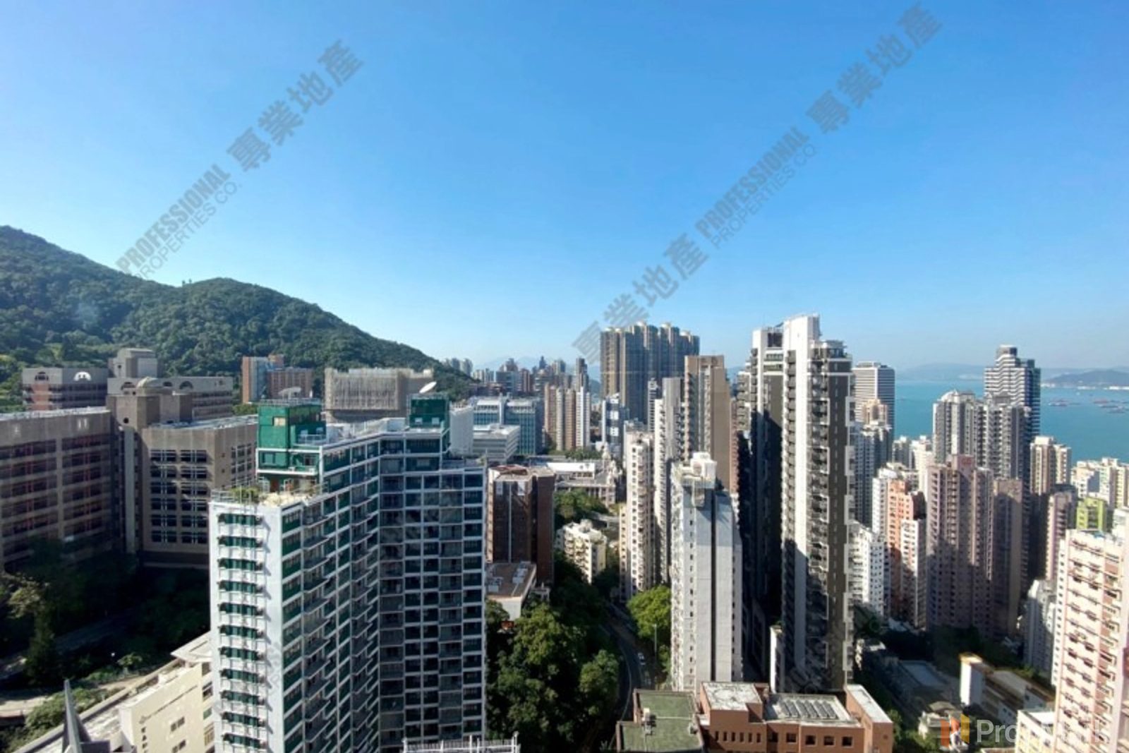 相片 5 — 禮賢樓，西半山