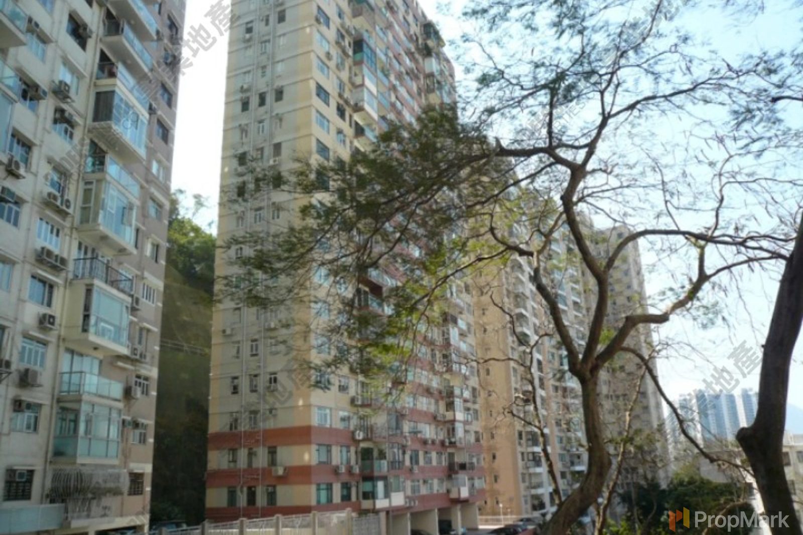 柏園