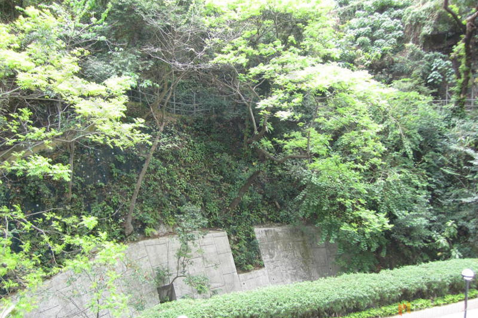 相片 15 — 金山花園，跑馬地