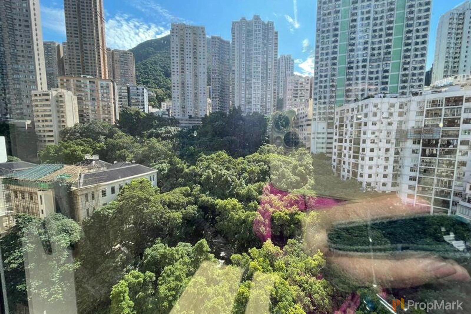 相片 3 — 柏苑，西半山