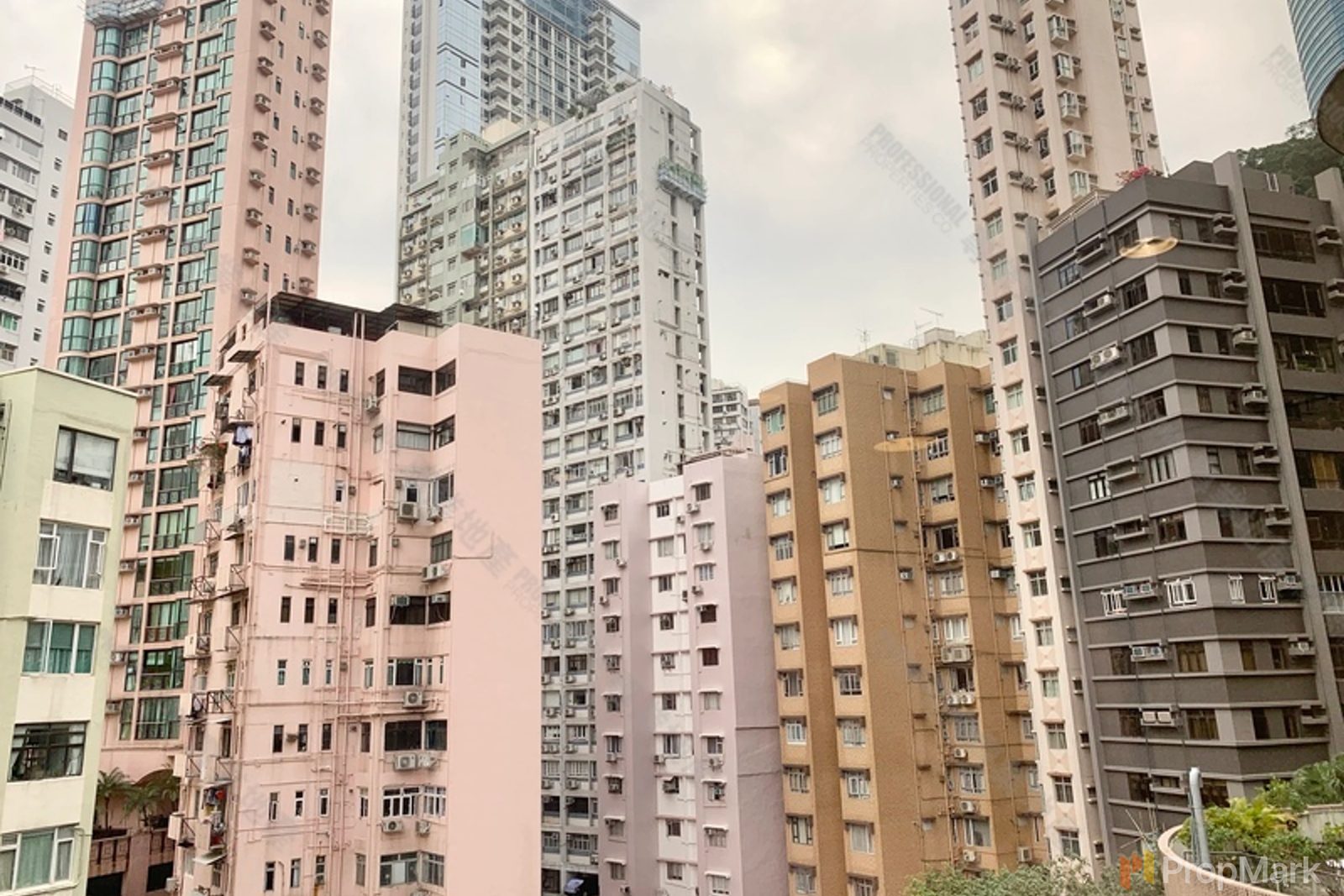 相片 8 — 樂榮閣，跑馬地