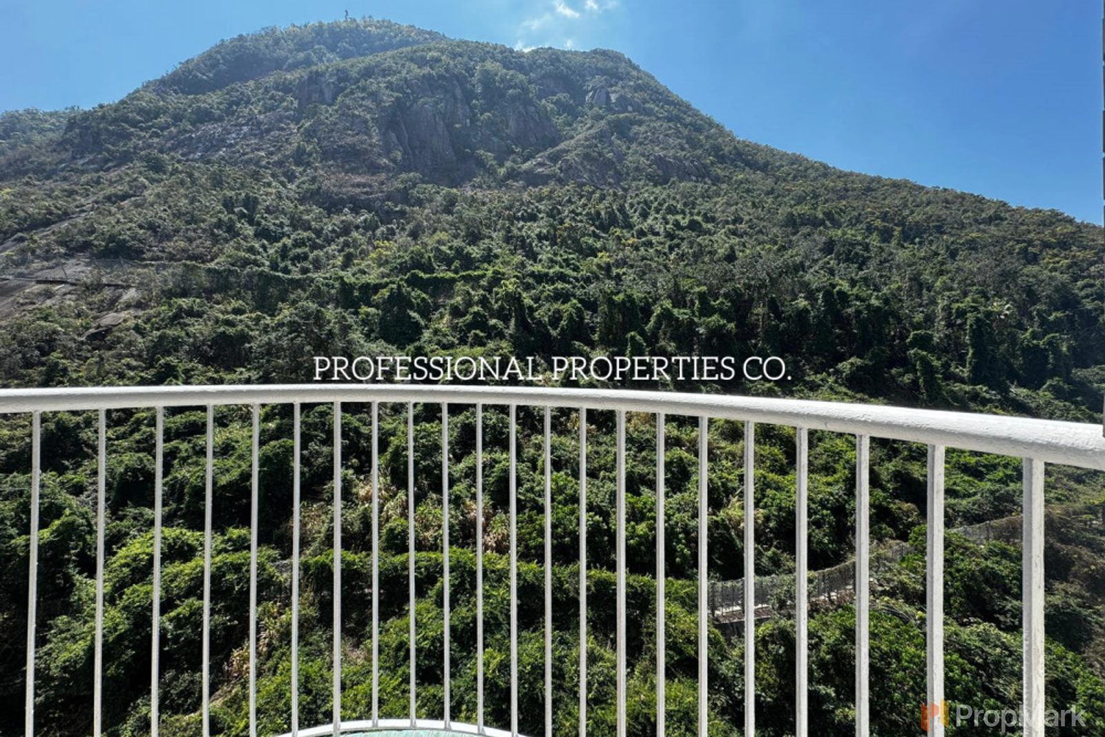 photo 4 — Scenecliff, Mid-levels West