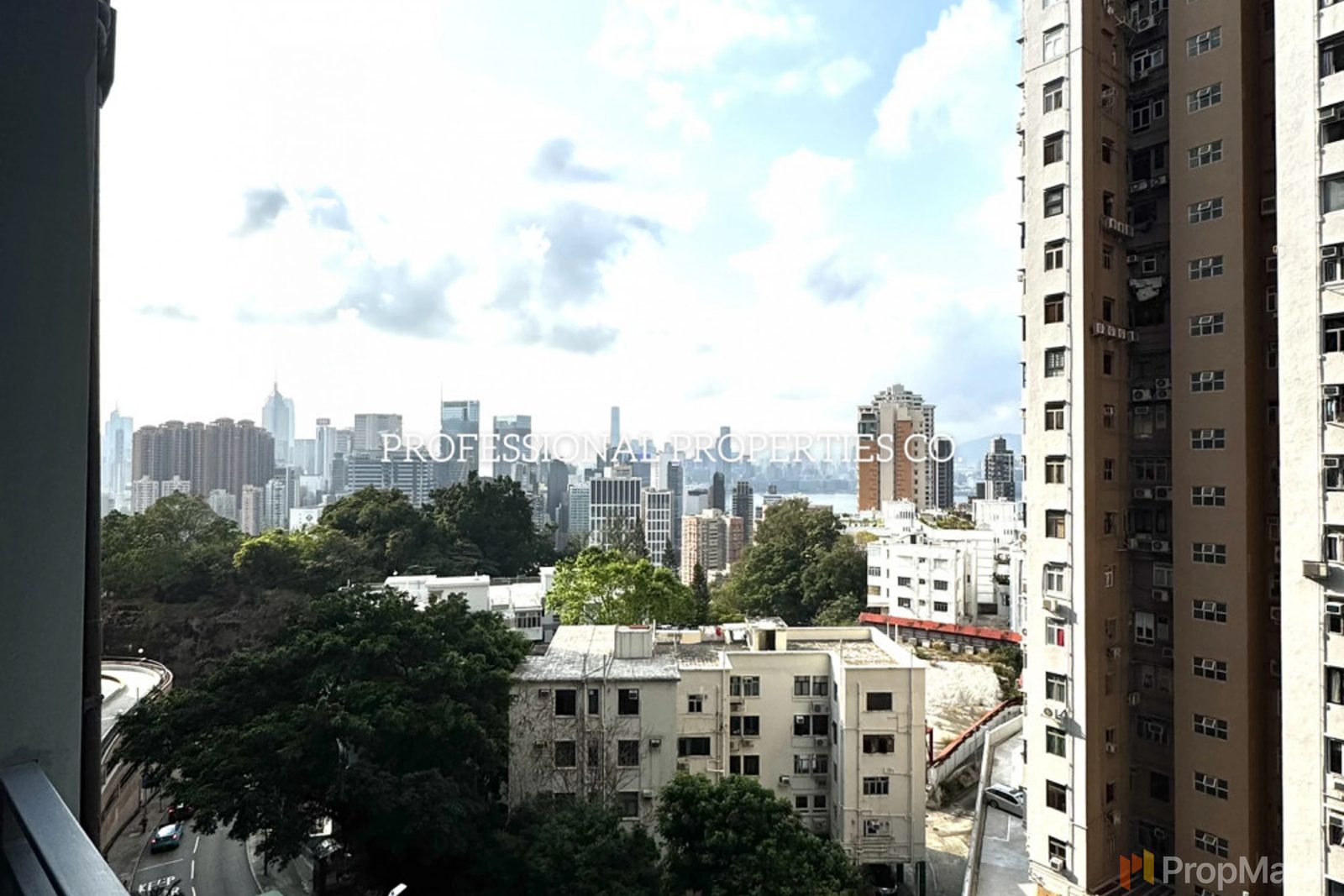 柏園