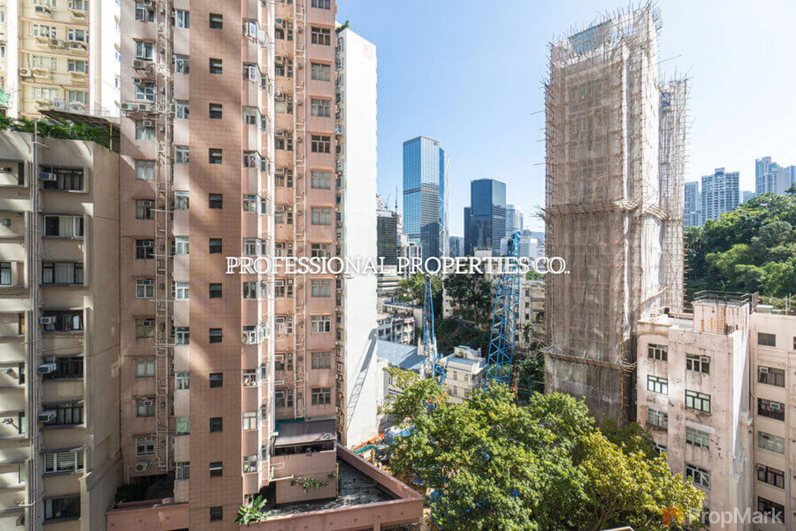 photo 9 — Bel Mount Garden, Central