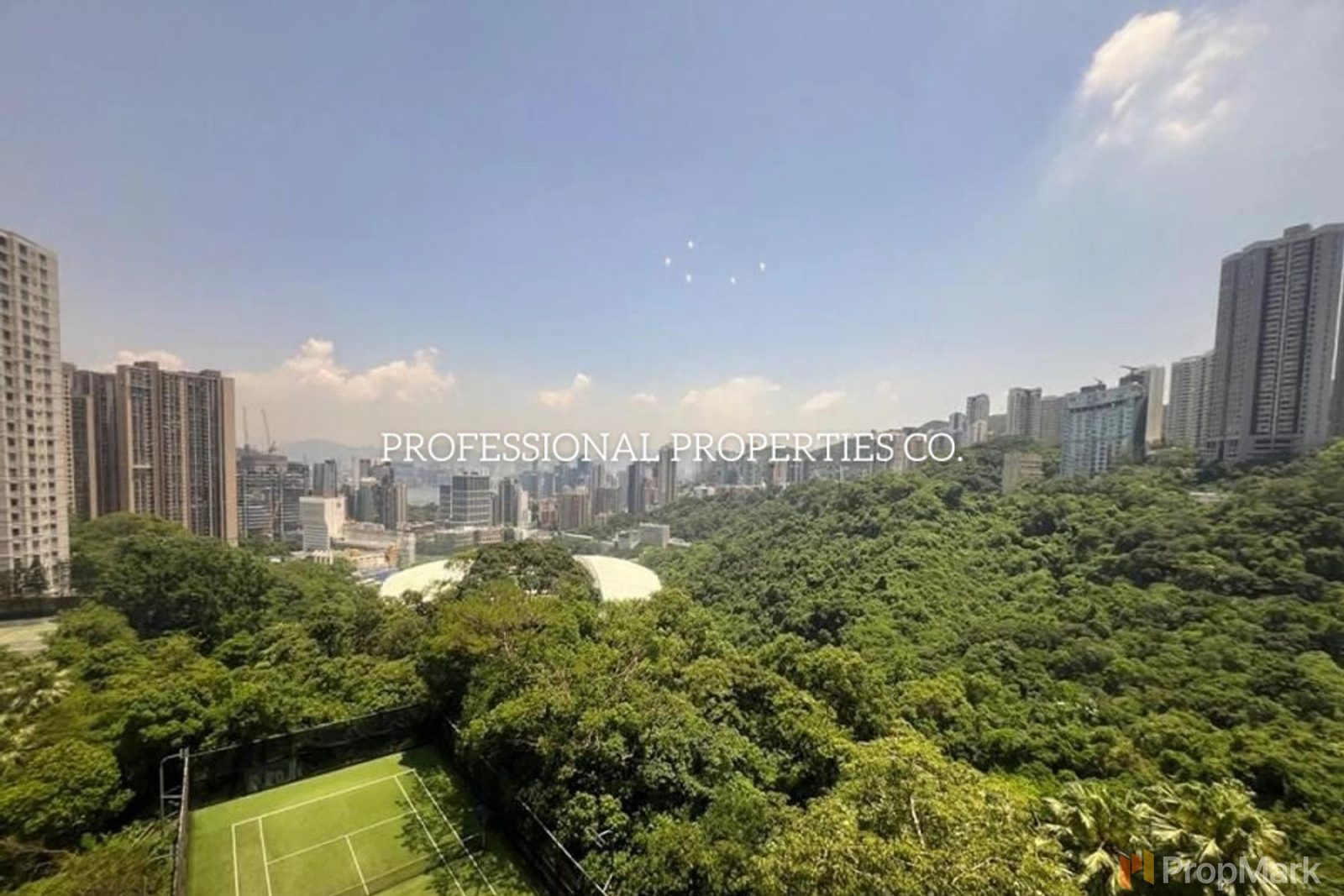 photo 13 — Broadwood Park, Happy Valley