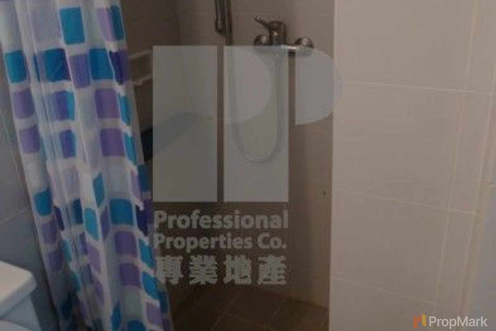 相片 21 — 瑞燕大廈，山頂