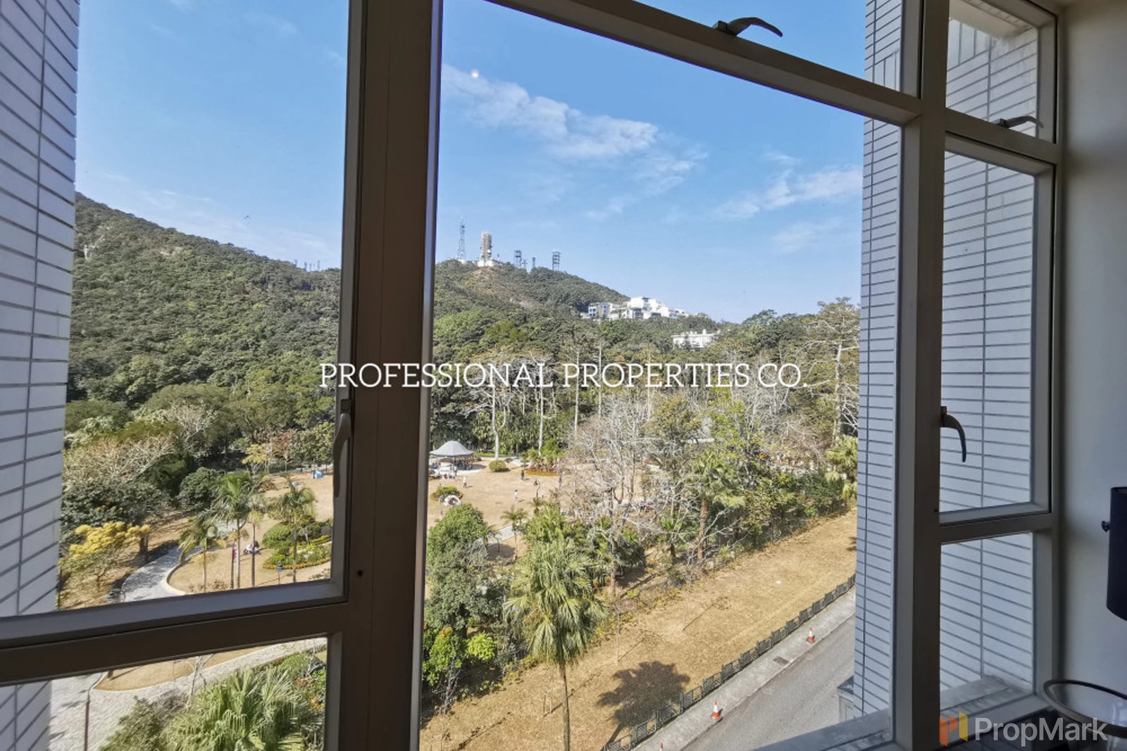 photo 8 — The Mount Austin, The Peak