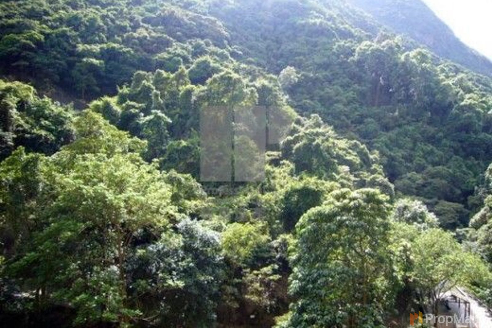 相片 11 — 曉峰閣，中半山