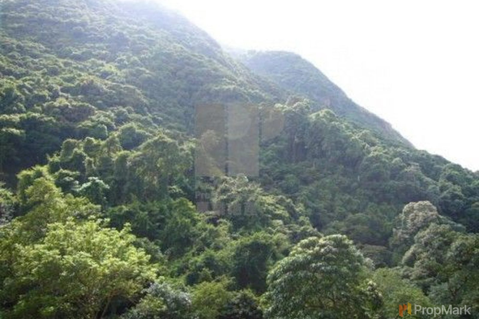 相片 10 — 曉峰閣，中半山