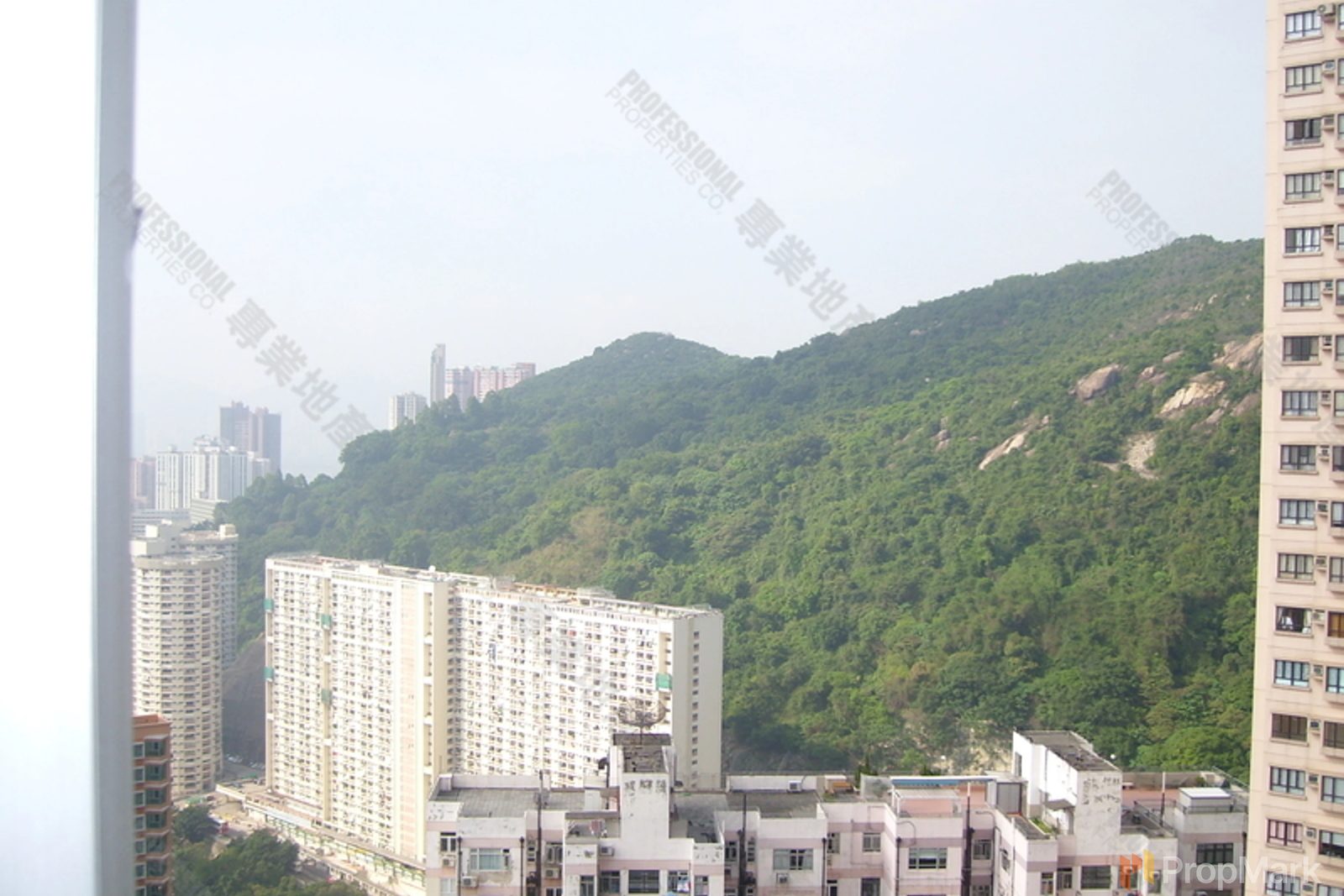 photo 5 — Tai Hang Terrace, Jardine's Lookout
