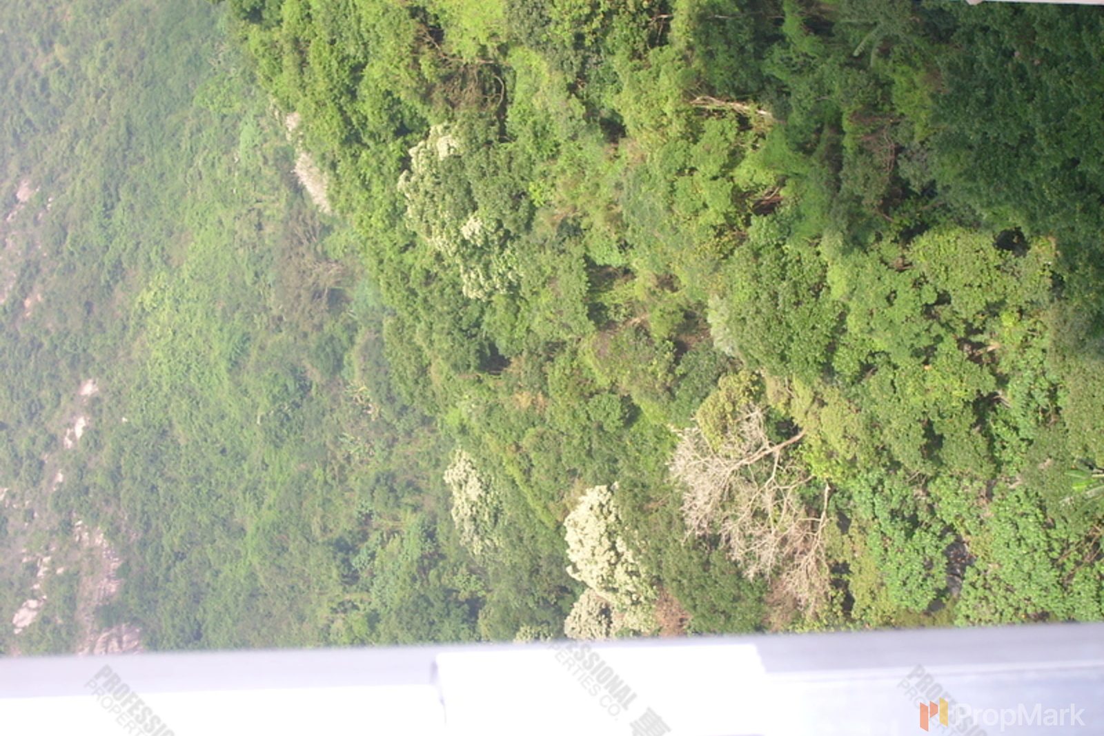photo 19 — Tai Hang Terrace, Jardine's Lookout