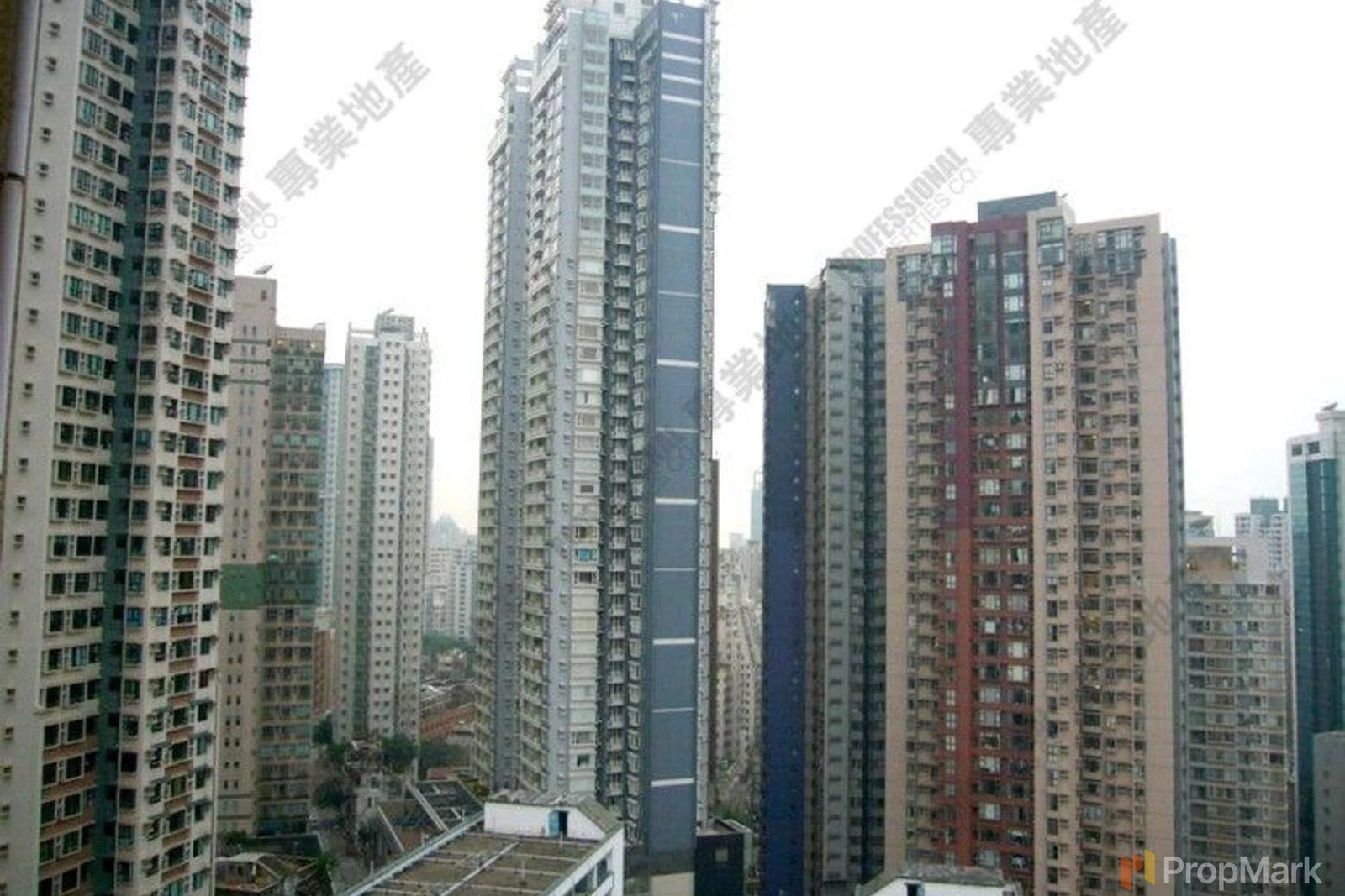 photo 11 — Kingearn Building, Central