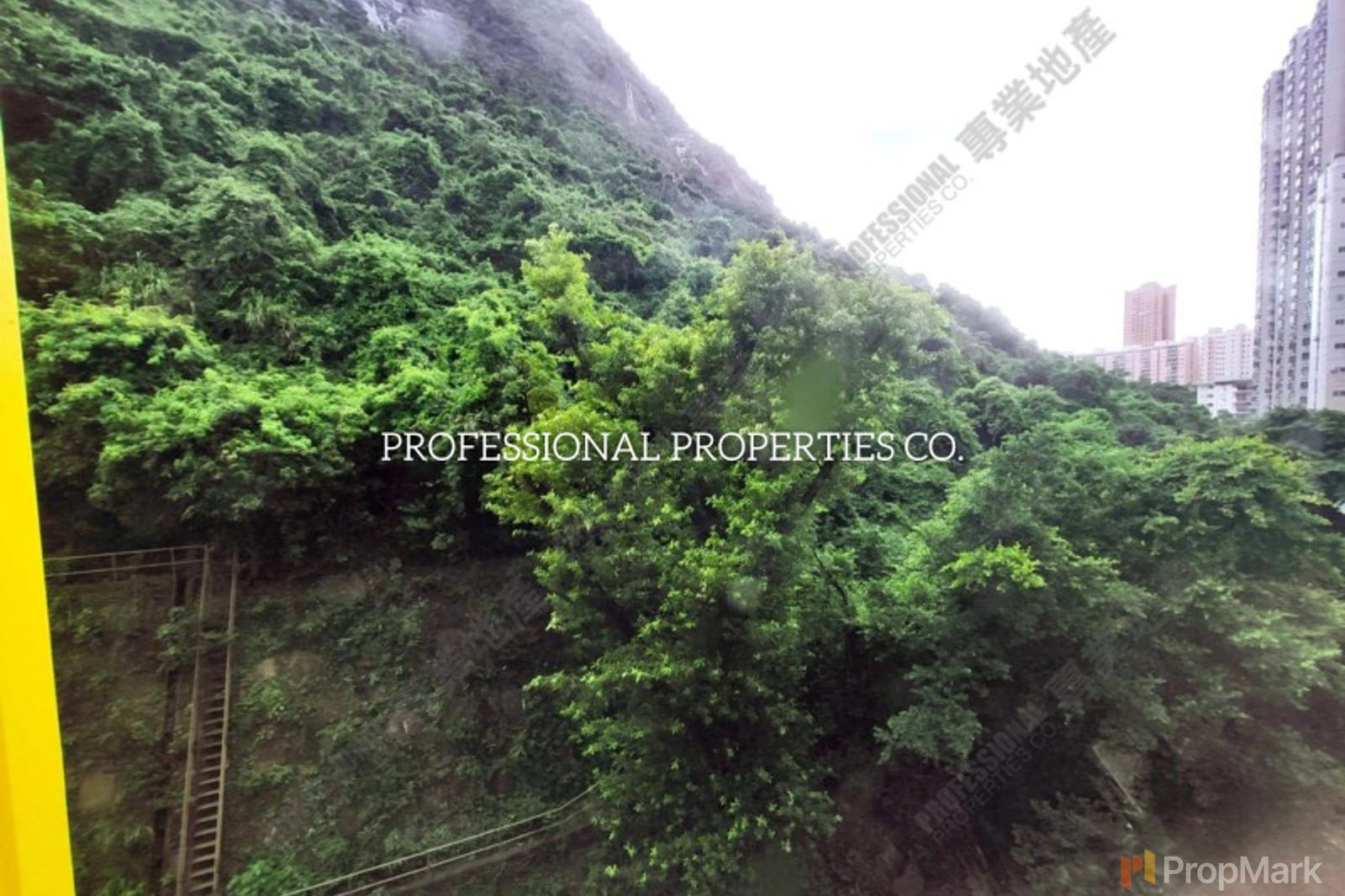 相片 5 — 全景大廈，西半山