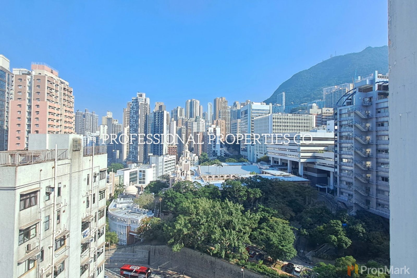 寓成峰