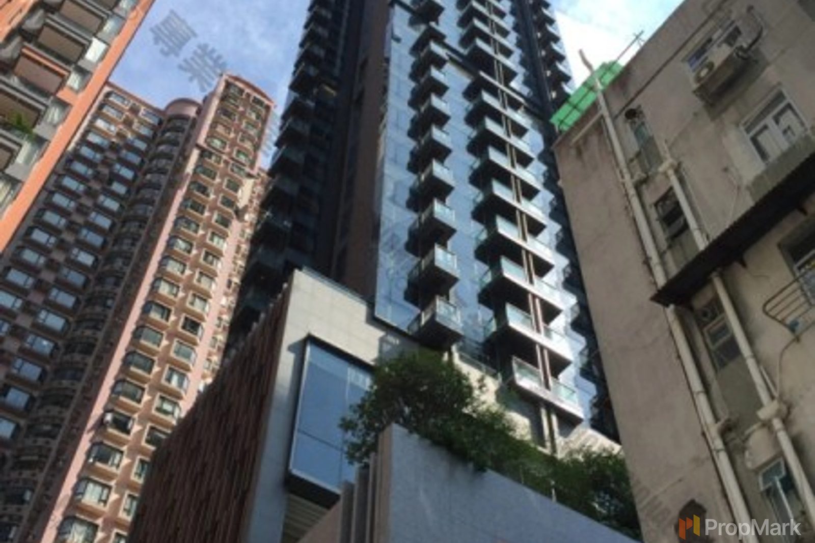 photo 11 — Jones Hive, Tai Hang