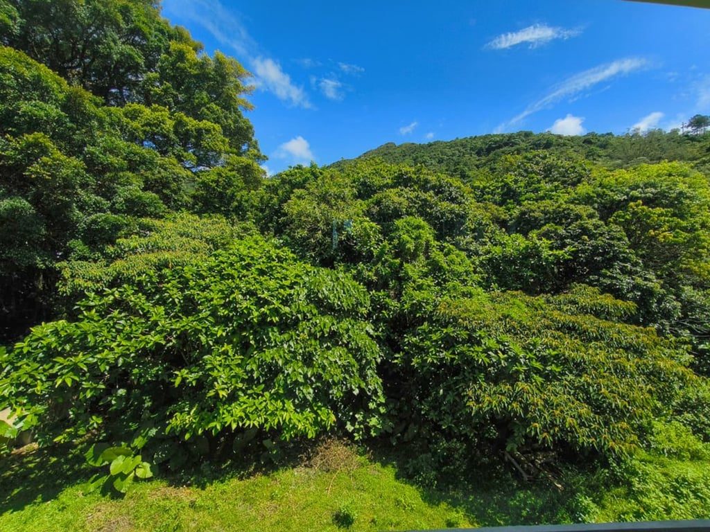 photo 22 — Tai Long Wan, Lantau Island