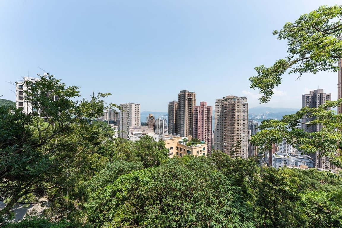 photo 22 — 28 Po Shan Road, Mid Levels West
