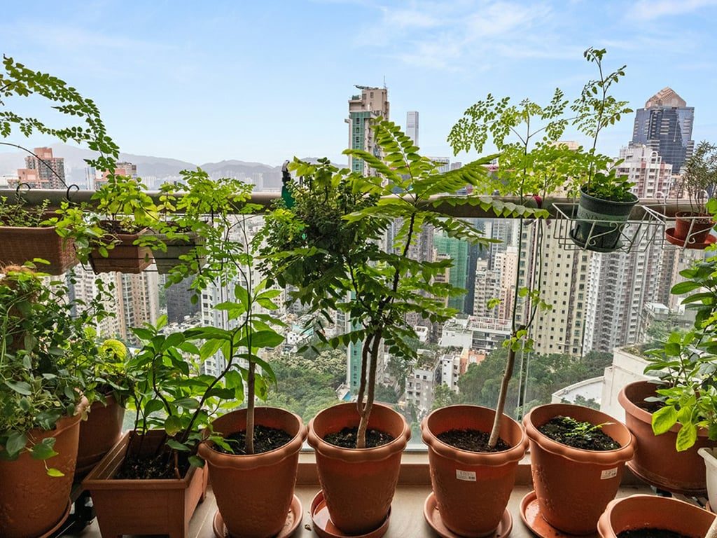 photo 3 — Hong Kong Garden, Mid Levels Central