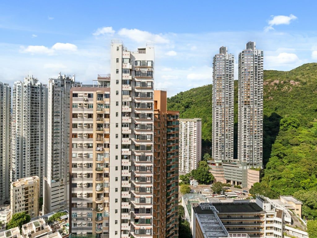 相片 2 — 煜康臺，大坑