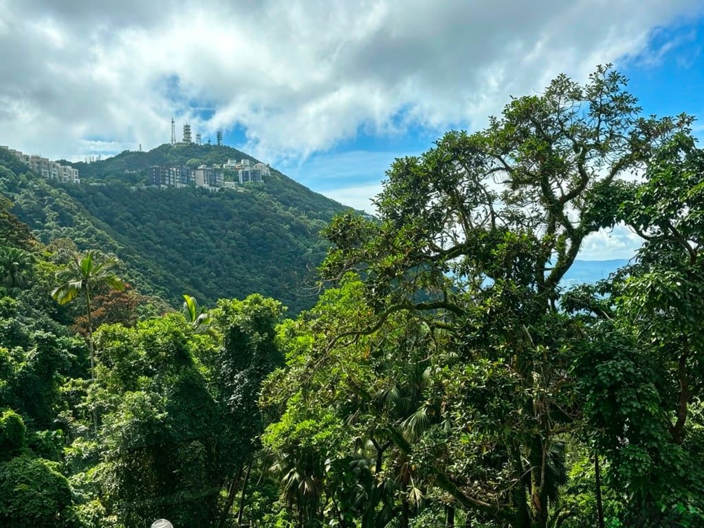 photo 2 — Barker Villa, The Peak