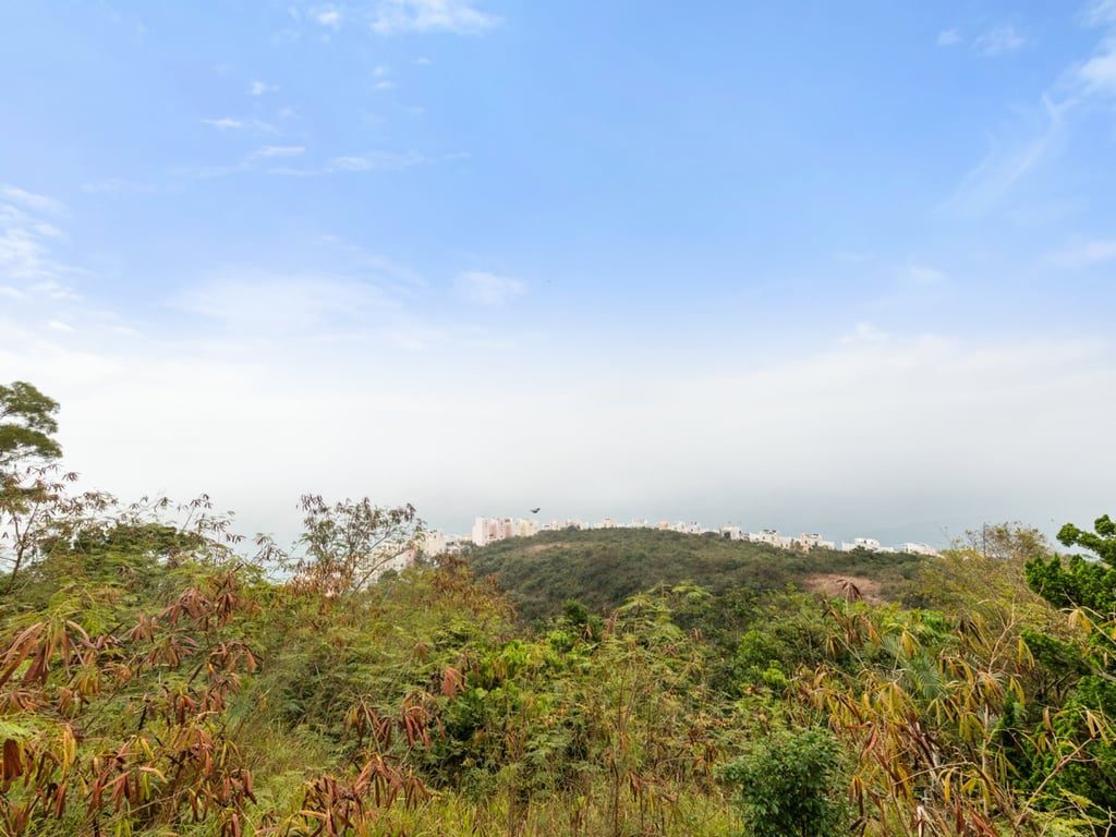 photo 2 — Villa Rosa, Tai Tam