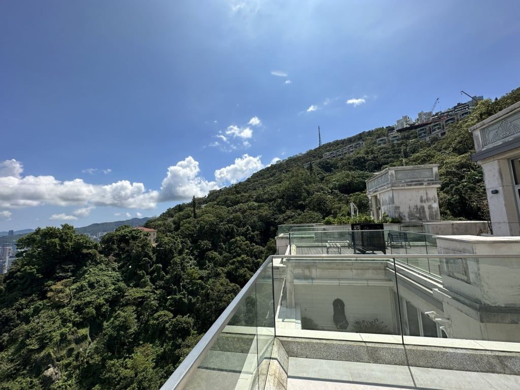 photo 15 — 28 Barker Road, The Peak